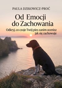 Od Emocji do Zachowania - Paula Dzikowicz-Proć - ebook