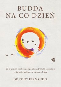 Budda na co dzień - Tony Fernando - ebook