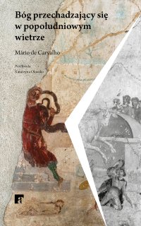 Bóg przechadzający się w popołudniowym wietrze - Mario de Carvalho - ebook