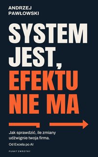 System jest, efektu nie ma - Andrzej Pawłowski - ebook