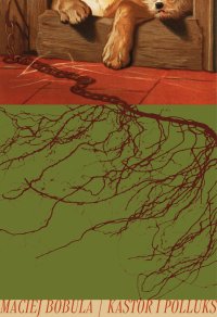 Kastor i Polluks - Maciej Bobula - ebook