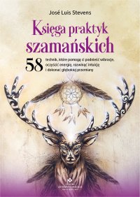 Księga praktyk szamańskich - Jose Luis Stevens - ebook