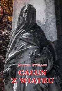 Całun z wiatru - Joanna Pypłacz - ebook