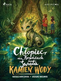Chłopiec na krańcach świata. Kamień wody - Grzegorz Wacławek - ebook