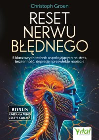 Reset nerwu błędnego - Christoph Groen - ebook