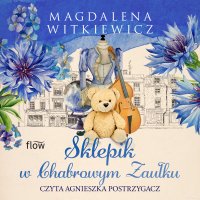 Sklepik w chabrowym zaułku - Magdalena Witkiewicz - audiobook