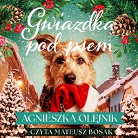 Gwiazdka pod psem - Agnieszka Olejnik - audiobook