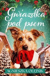 Gwiazdka pod psem - Agnieszka Olejnik - ebook