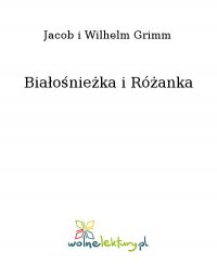 Białośnieżka i Różanka - Wilhelm Grimm - ebook