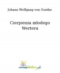 Cierpienia młodego Wertera - Johann Wolfgang von Goethe - ebook