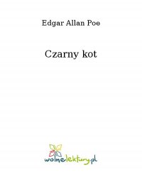 Czarny kot - Edgar Allan Poe - ebook