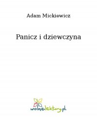 Panicz i dziewczyna - Adam Mickiewicz - ebook