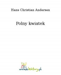 Polny kwiatek - Hans Christian Andersen - ebook