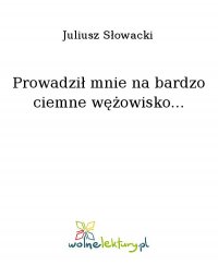 Prowadził mnie na bardzo ciemne wężowisko... - Juliusz Słowacki - ebook