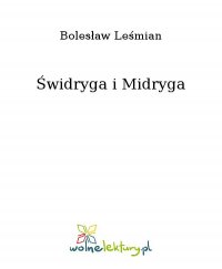 Świdryga i Midryga - Bolesław Leśmian - ebook