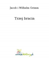 Trzej bracia - Wilhelm Grimm - ebook