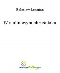 W malinowym chruśniaku - Bolesław Leśmian - ebook
