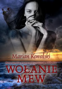 Wołanie mew - Marian Kowalski - ebook