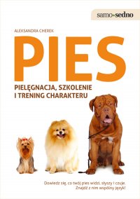 Pies pielęgnacja, szkolenie - Aleksandra Cherek - ebook