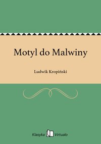Motyl do Malwiny - Ludwik Kropiński - ebook