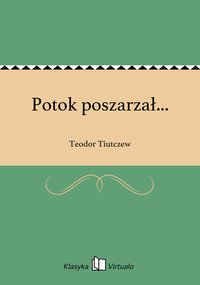 Potok poszarzał... - Teodor Tiutczew - ebook