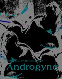 Androgyne - Stanisław Przybyszewski - ebook