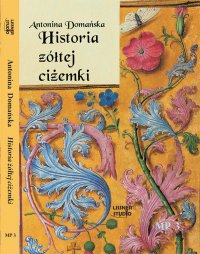Historia żółtej ciżemki - Antonina Domańska - audiobook