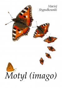 Motyl (imago) - Maciej Stypułkowski - ebook