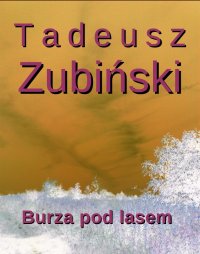 Burza pod lasem - Tadeusz Zubiński - ebook