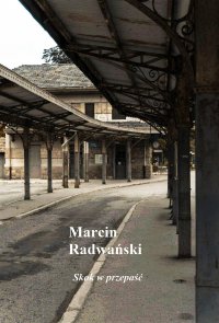 Skok w przepaść - Marcin Radwański - ebook