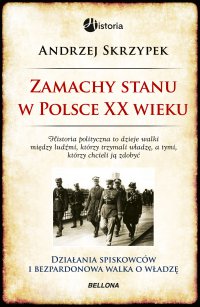 Zamachy stanu w Polsce w XX wieku - Andrzej Skrzypek - ebook