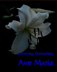 Ave Maria. wzruszająca opowieść - Antonina Domańska - ebook