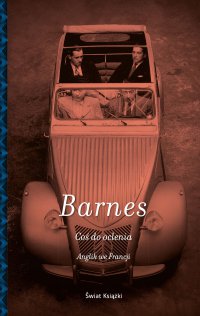 Coś do oclenia - Julian Barnes - ebook