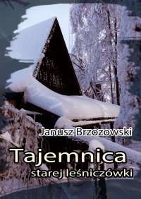 Tajemnica starej leśniczówki - Janusz Brzozowski - ebook