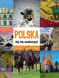 Polska - daj się zaskoczyć. Trasy magiczne - Opracowanie zbiorowe - ebook