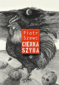 Cienka szyba - Piotr Szewc - ebook