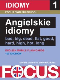 Angielskie idiomy. Zestaw 1 - Ewelina Zinkiewicz - ebook