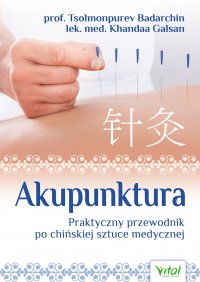 Akupunktura. Praktyczny przewodnik po chińskiej sztuce medycznej - Khandaa Galsan - ebook