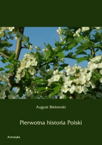 Pierwotna historia Polski - August Bielowski - ebook