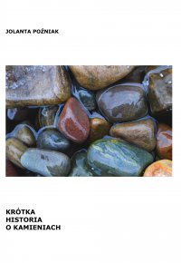 Krótka historia o kamieniach - Jolanta Poźniak - ebook