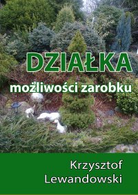 Działka. Możliwości zarobku - Krzysztof Lewandowski - ebook