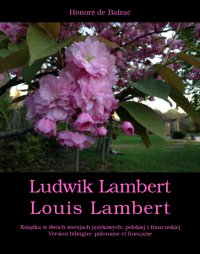 Ludwik Lambert. Louis Lambert - Honore de Balzac - ebook