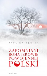 Zapomniani bohaterowie powojennej Polski - Paulina Koniuk - ebook