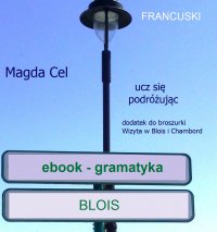 Francuski, ucz się podróżując – Blois. Gramatyka. - Magda Cel - ebook