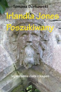 Irlandia Jones poszukiwany - Tomasz Borkowski - ebook