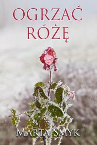 Ogrzać różę - Marta Smyk - ebook