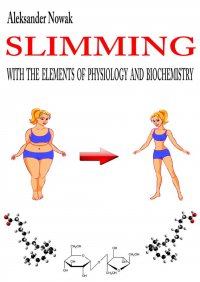 Slimming with the elements of physiology and biochemistry - Mgr Inż. Aleksander Nowak - ebook