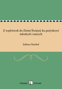 Z wędrówek do Ziemi Świętej: ku pożytkowi młodych i starych - Juliusz Starkel - ebook