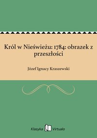 Król w Nieświeżu: 1784: obrazek z przeszłości - Józef Ignacy Kraszewski - ebook
