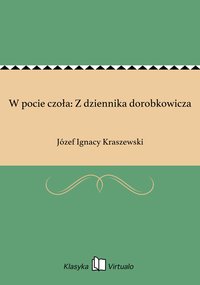 W pocie czoła: Z dziennika dorobkowicza - Józef Ignacy Kraszewski - ebook